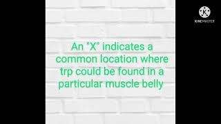 Abductor Digiti Minimi, Extensor Hallucis Brevis|Trigger Points & Referral Pattern|Trailguide