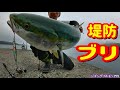 堤防からブリ釣って食う釣りの醍醐味!【ショアジギング】ジギングフルモン279