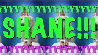 HAPPY BIRTHDAY SHANE! - EPIC Happy Birthday Song