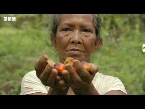 The Impact Of GrandesTetasColombia