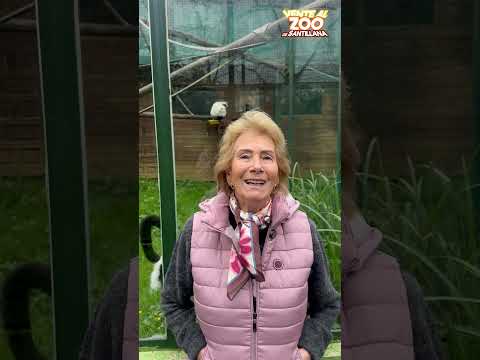 Viviendo en un Zoo: La historia de Thierry | Santillana del Mar