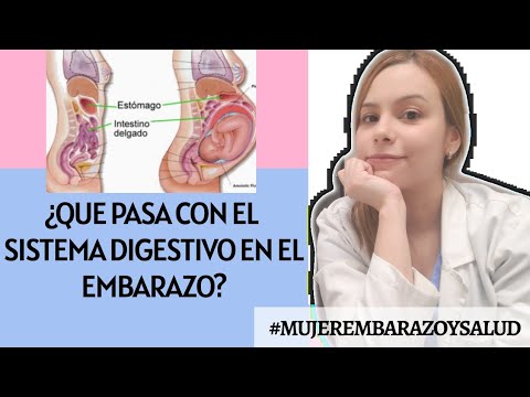 Video: ¿Cómo se llama el estómago de una mujer embarazada?