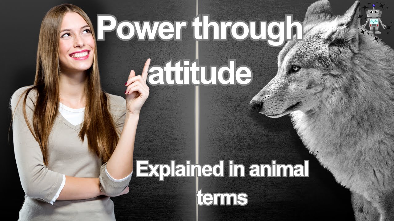 The Posture Signals Animals Use to Show Authority (Humans Too) - YouTube