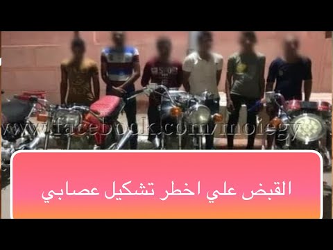 القبض علي اخطر تشكيل عصابي لسرقه الدراجات الناريه في سوهاج القبض علي سارقي الموتوسيكلات في سوهاج القبض علي اخطر تشكيل عصابي لسرقه الدراجات الناريه في سوهاج القبض علي سارقي الموتوسيكلات في سوهاج