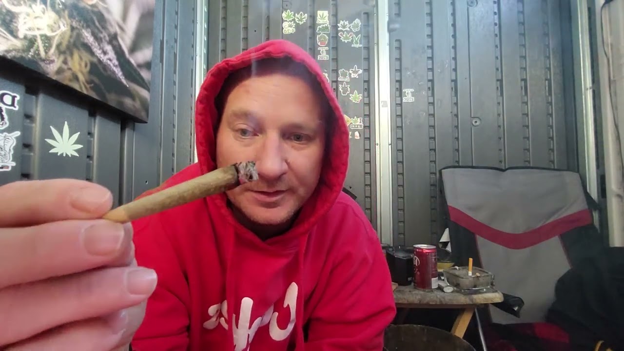 Northern Emeralds.   WTF OG 3.5 JAR