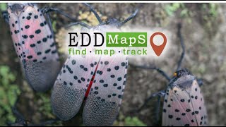 Citizen-science EDDMapS (Early Detection and Distribution Mapping System) phone app screenshot 5