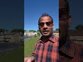 Live highlight