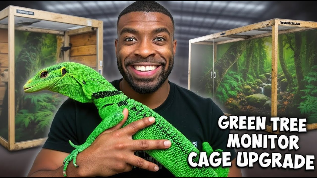 My Green Tree Monitor Gets MASSIVE Enclosure Build!!!