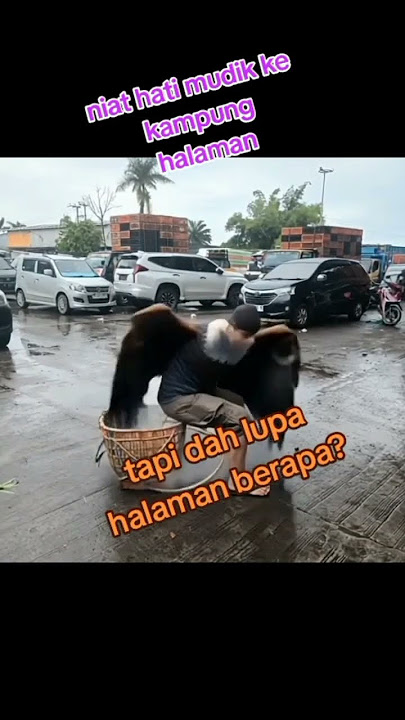 minal Aidin Walfaizin #lucu #ai #jangkauanluas #fypシ゚viral #memes #ngakak #vidioshort #anime