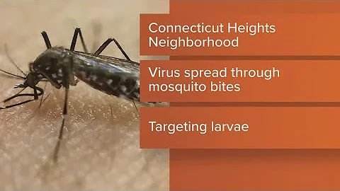 West Nile virus samples found in Connecticut Heights neighborhood