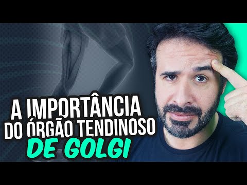 A IMPORTÂNCIA DO ÓRGÃO TENDINOSO DE GOLGI.