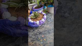 spider plant care tips🎀 #plants #shortsviral #garden #indoorplants #shorts #tips #trending #viral