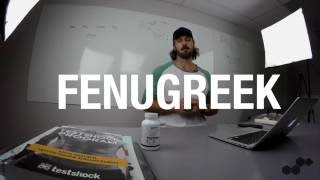 Does Fenugreek Increase Testosterone?