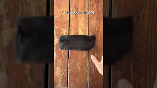 Bluetooth Ski Headband And Headphone 2 In 1