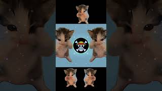 DJ KICAU KICAU MANIA REMIX ANGKATLAH TOPI MINAT MONGGO JAPRI VIRAL TIKTOK 2026