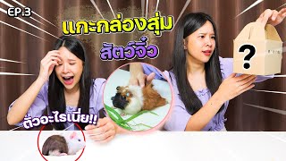 แกะกล่องสุ่มสัตว์จิ๋ว ep.3 ตัวอะไร..ทำไมเหมือนตุ๊กตา ?