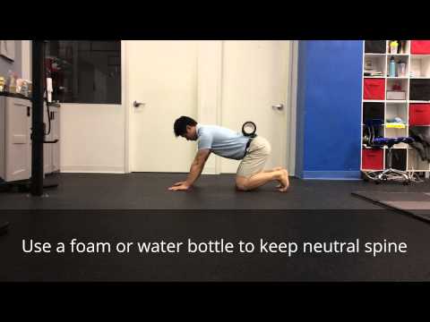 Hip Hinge Regressions/Progressions