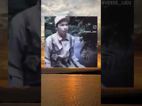 فيديو بدون تاريخ صلاحية 