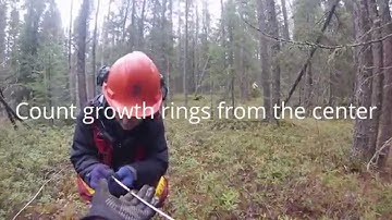 Tree Age Sample | Tools of the Trade