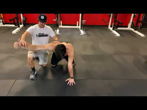 Quadruped Position - "Y"