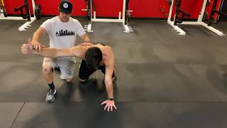 Quadruped Position - "Y"