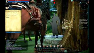 Tera NA CB2 Warrior PvE Questing Lvl 20 in Valley of Titans Part 5 of 5