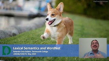 Lexical Semantics and WordNet (Accelerated Computational Linguistics 2020.W08.08)
