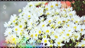 MÙA CÚC HỌA MI _ Minh Trang LyLy ( Lyrics Video)