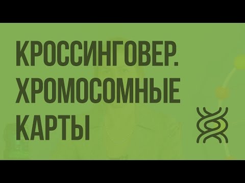 Кроссинговер. Хромосомные карты. Видеоурок по биологии 10 класс