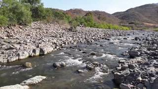 El corrido El del guayabal--Aventureros