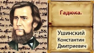 Гадюка. Гадюка.