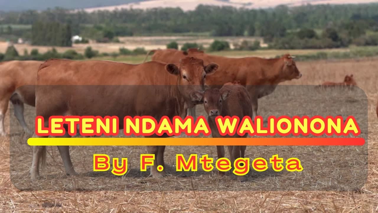 Leteni Ndama Walionona - Mt_Yuda_Uhasibu | Lyrics video