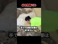 水平方向ドリル