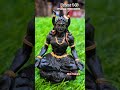#Shiv model.