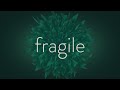 Leotte  fragile