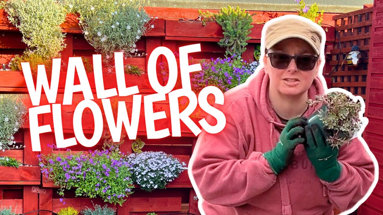 Refreshing my flower planter made of pallets  | garden vlog