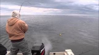 Marinette, WI  2nd pass 2014