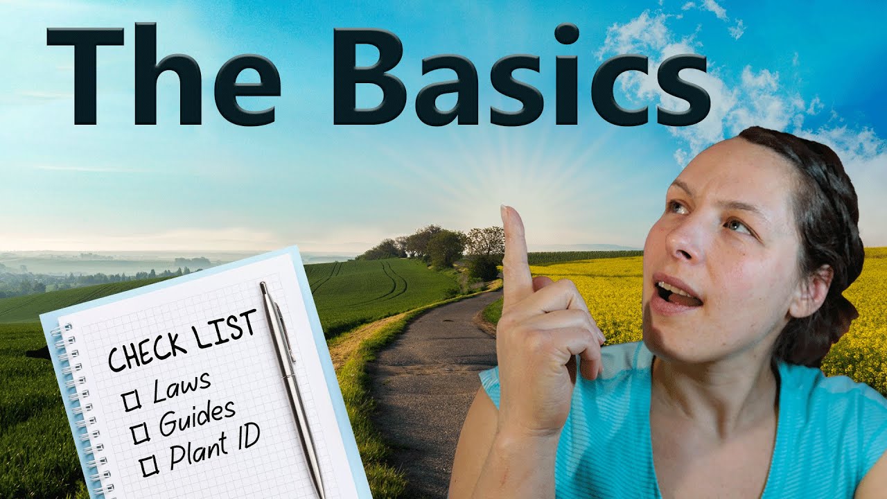 Foraging Workshop 101 - All You Need to Know