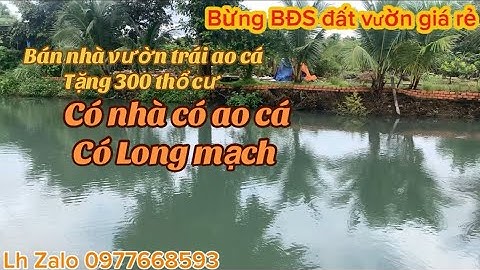 Nhà vườn trái cây có Long mạch nước ngầm cần bán gấp hạ giá bán rẻ bèo có 300 thổ cư có nhà có ao cá