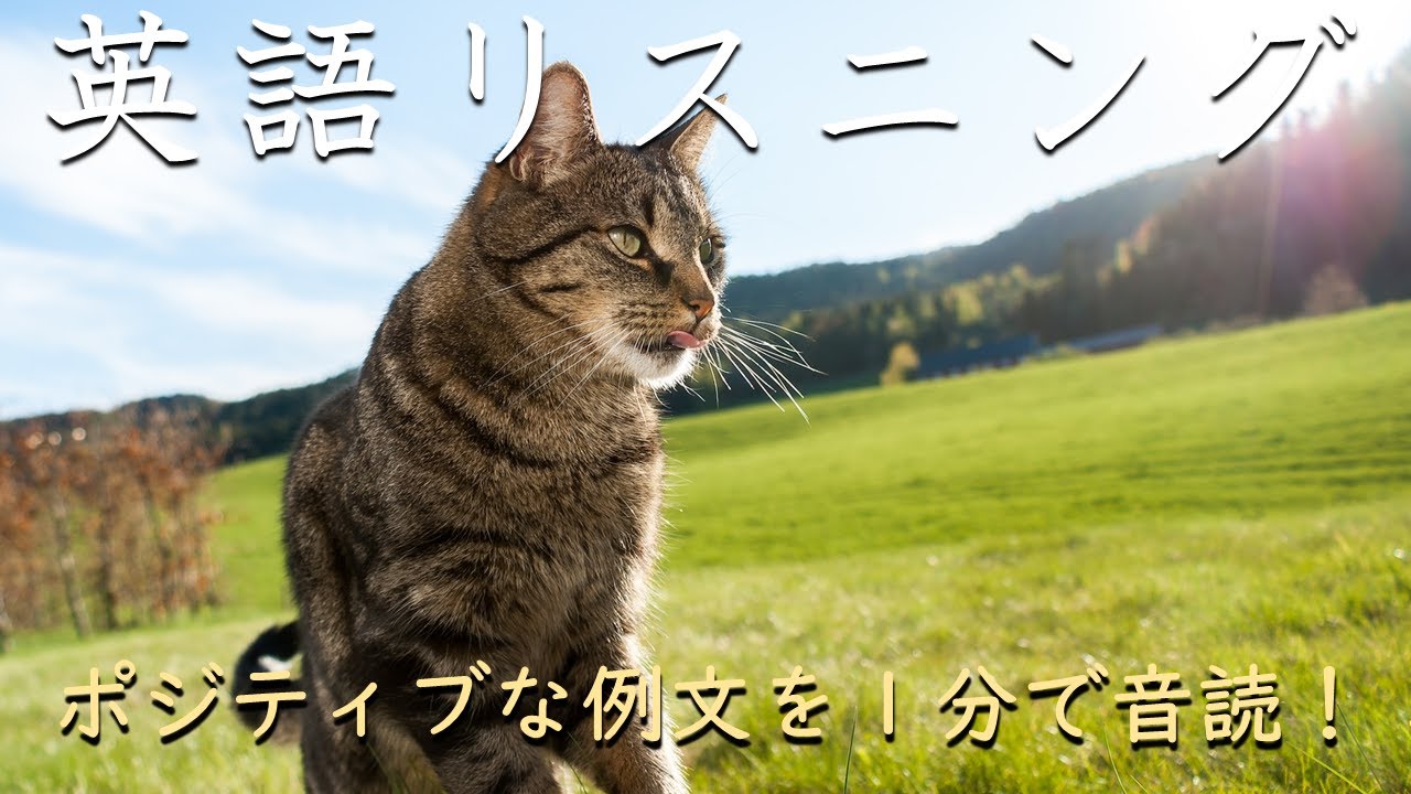 【ポジティブ例文１分だけ】超速英語リスニング_260111