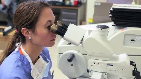 Mohs Patient Information