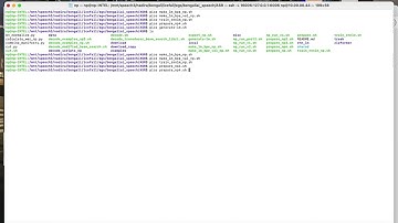 #64 Nadira: Train RNNLM and 2-gram for LODR decoding