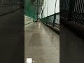 bat chutne se bach gya #cricket #viralvideo