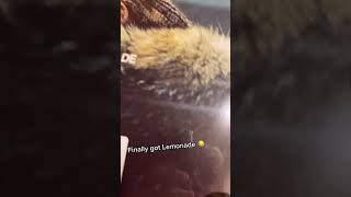 New mail day from urban outfitters #vinyltok #beyonce #wallows... #Shorts #kingcnynmusic