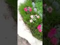 #место_силы #магия #магия_друидов #восковыеотливки #друиды