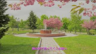 【初音ミクV4X】春の恋の歌/Whiteberry未発表曲【Cover】修正版
