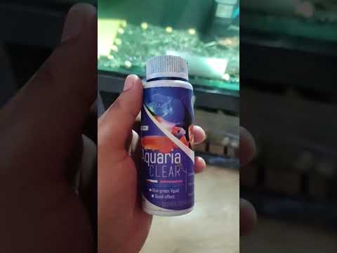 Crystal Clear Aquarium Water - AQUA CLEAR