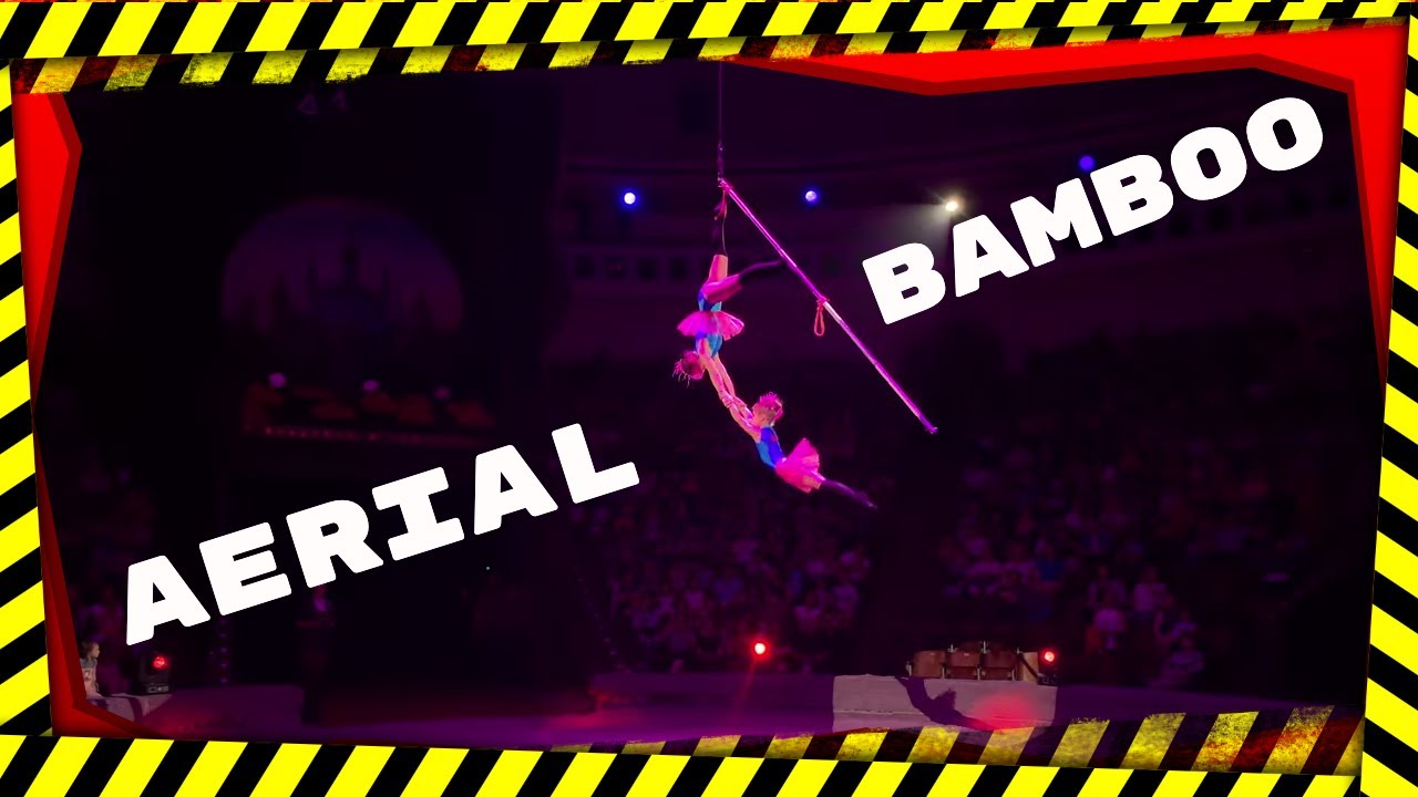 Aerial bamboo with two girls. Circus 