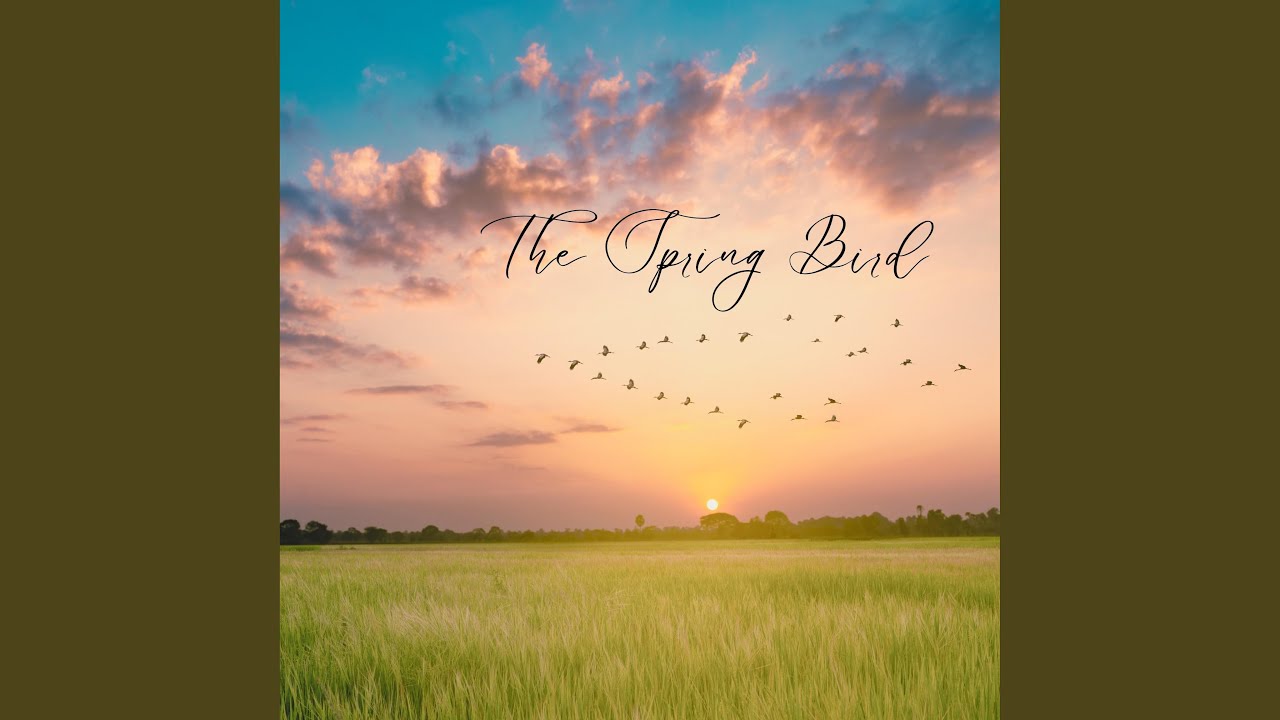Ver The Spring Bird en YouTube Ver The Spring Bird en YouTube