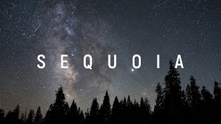 Sequoia Timelapse